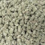 White Widow (Light Dep Smalls)