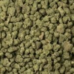 Alien Kush (Light Dep Smalls)