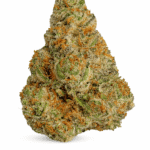 Gelonade (Indoor Premium)