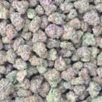 Cherry Diesel (Indoor Smalls)