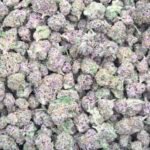 FROZEN JOKER (Indoor Smalls)