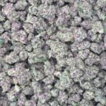 PRESIDENTIAL RUNTZ (Indoor Smalls)