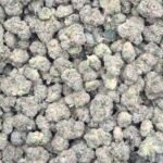 SUBZERO (ZKITTLES X SKYWALKER OG) (Indoor Smalls)