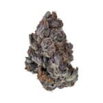 Blue Warheads (Exclusive Collection)