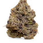 Gas Mask                (Exclusive Collection)