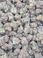 Gelato #41 (Indoor Premium) - Image 2