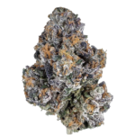 Bacio Gelato (Exclusive Collection)