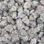 Blue Magoo (Light Dep Smalls)