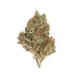 Blue Magoo (Light Deps)