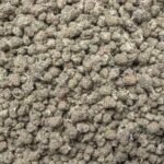 Mimosa (Light Dep Smalls)