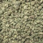 White Runtz (Light Dep Small)