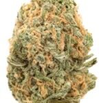 Blue Dream (Indoor Premium)