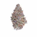 Cherry Diesel (Exclusive Collection)