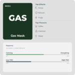 Gas Mask (Exclusive Collection) - Image 2