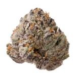 Gelato #41 (Indoor Premium)