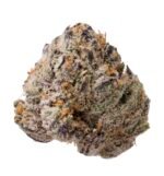 Gelato #41 (Indoor Premium)