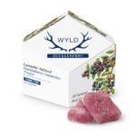 WYLD Gummies 10 pcs 10mg/pc